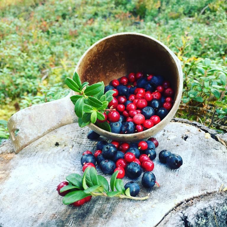 Wilderness Hotel Papin Talo Ruka Eksteriør billede